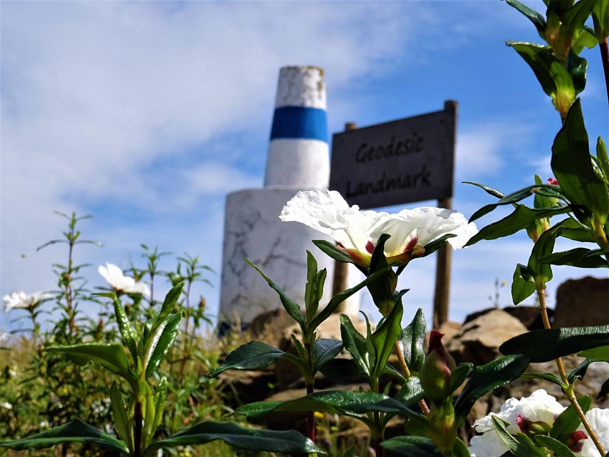 Monte Do Alento - Castro Da Cola Guest House Alcaria  Ngoại thất bức ảnh
