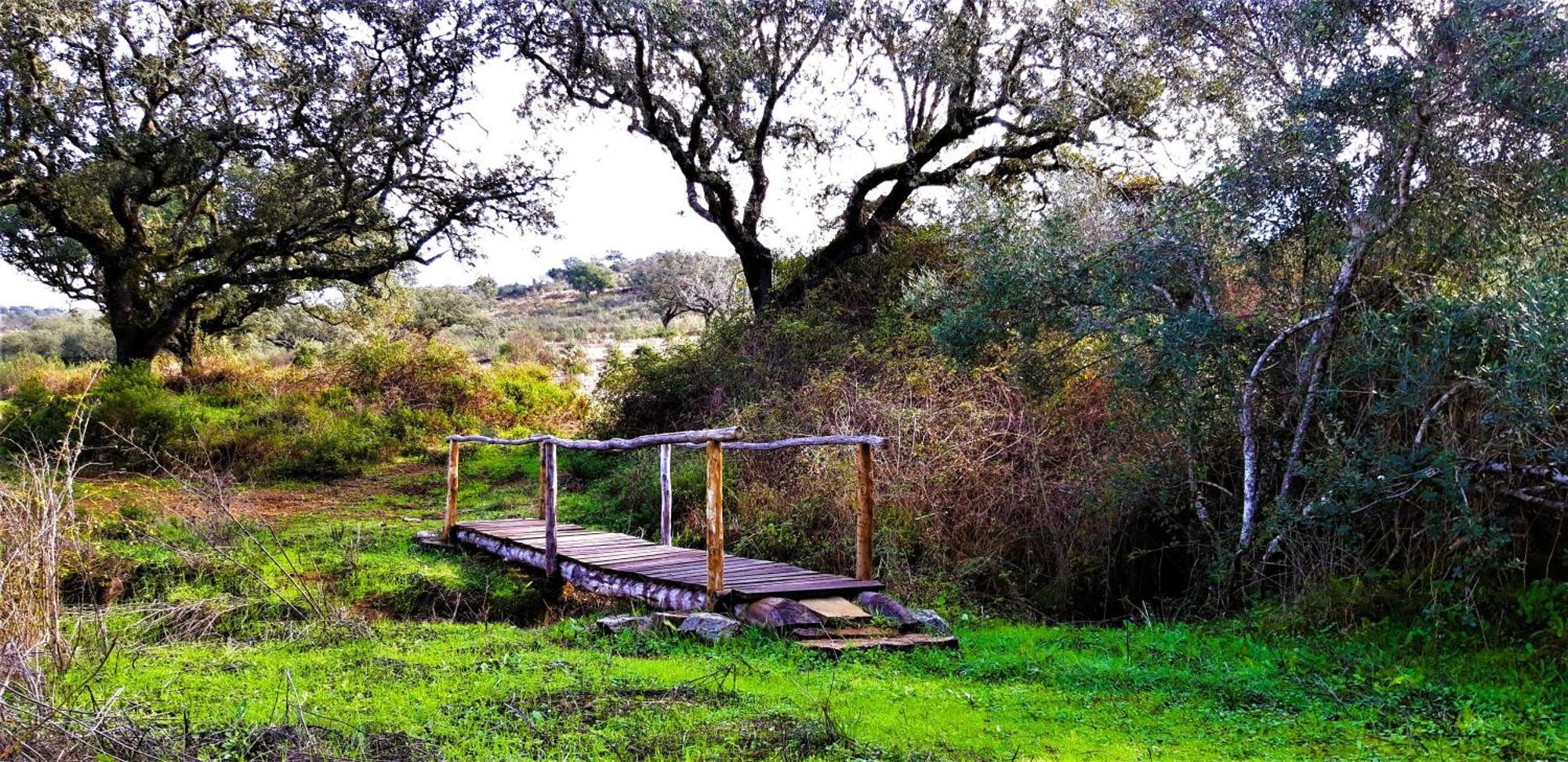 Monte Do Alento - Castro Da Cola Guest House Alcaria  Ngoại thất bức ảnh